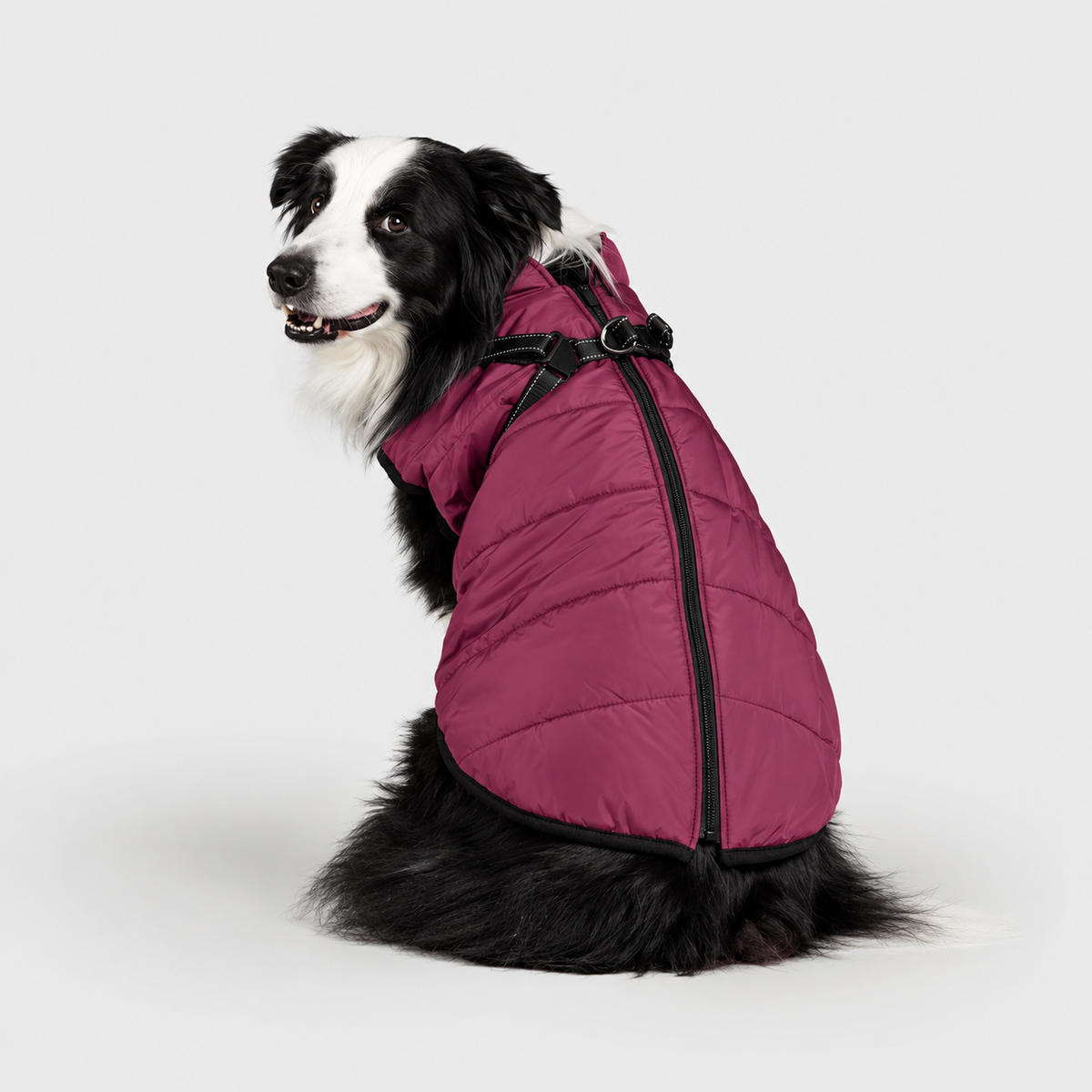 Manteau imperméable pour chien – Protection contre la pluie et le vent