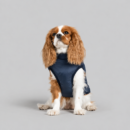 Manteau imperméable pour chien – Protection contre la pluie et le vent