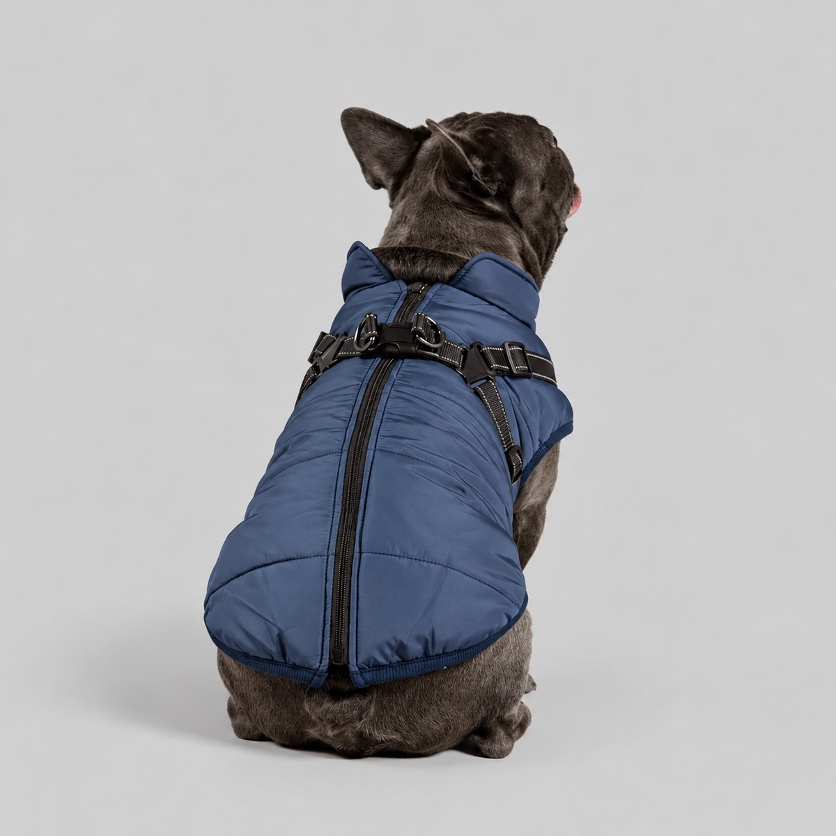 Manteau imperméable pour chien – Protection contre la pluie et le vent