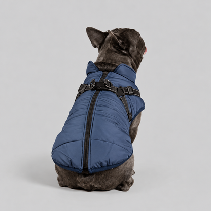 Manteau imperméable pour chien – Protection contre la pluie et le vent