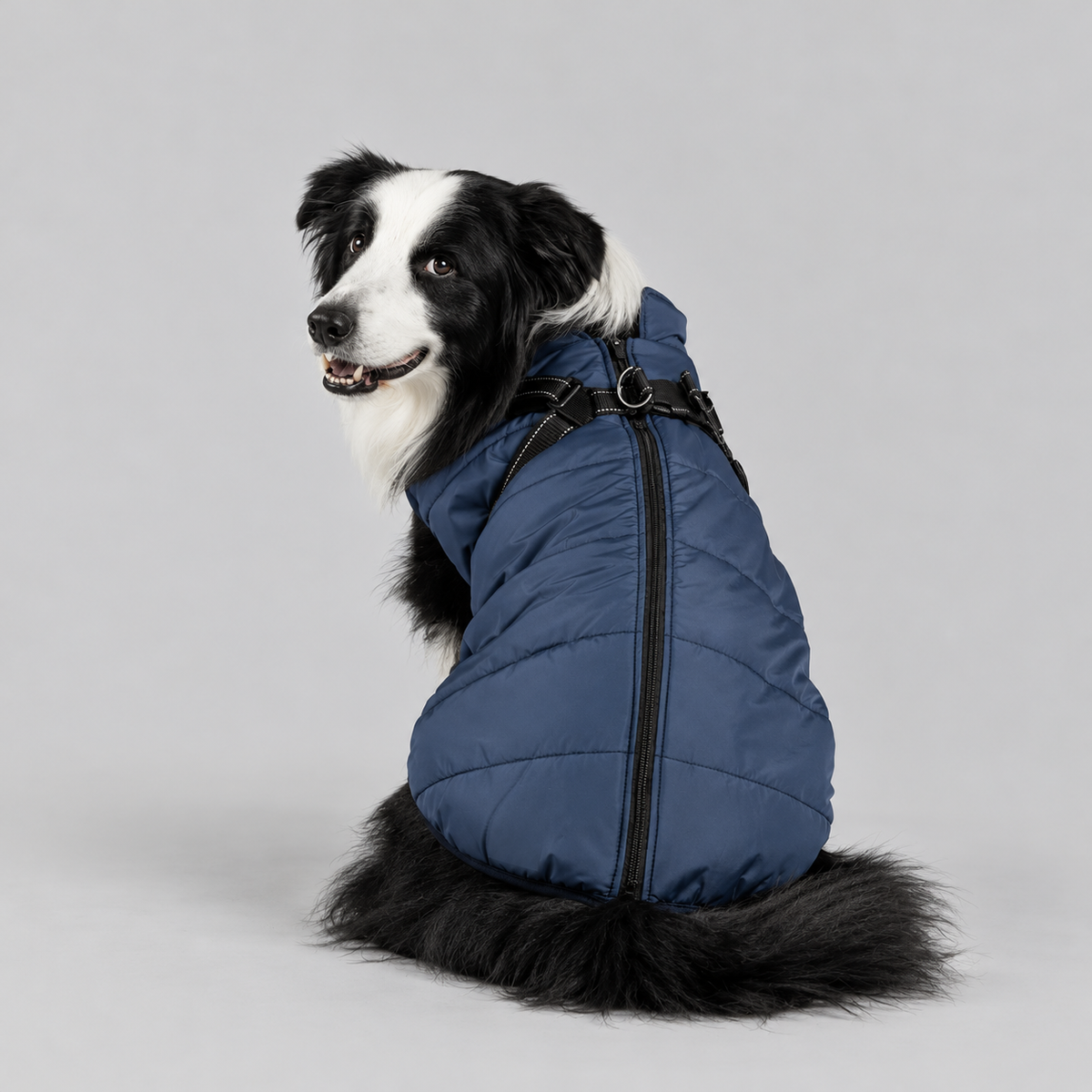 Manteau imperméable pour chien – Protection contre la pluie et le vent