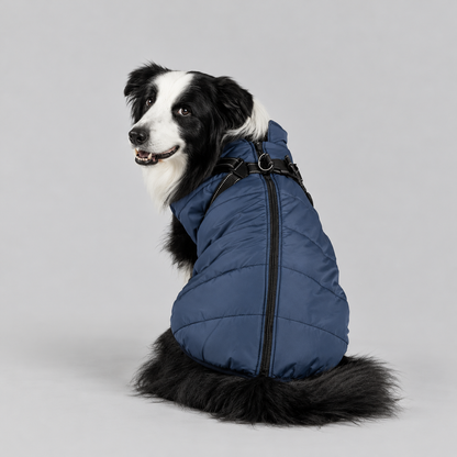 Manteau imperméable pour chien – Protection contre la pluie et le vent