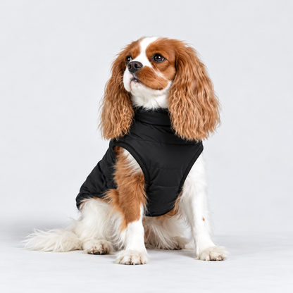 Manteau imperméable pour chien – Protection contre la pluie et le vent