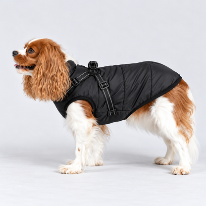 Manteau imperméable pour chien – Protection contre la pluie et le vent