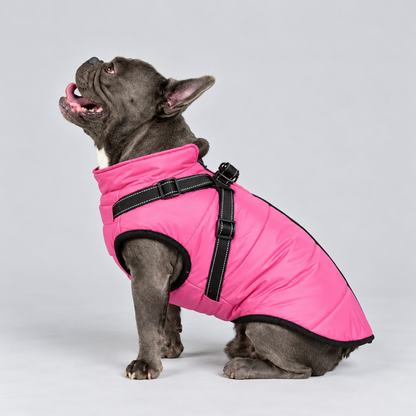Manteau imperméable pour chien – Protection contre la pluie et le vent
