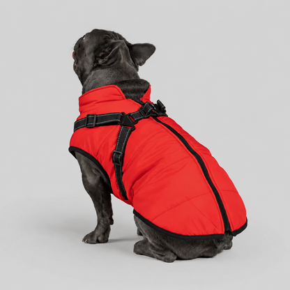 Manteau imperméable pour chien – Protection contre la pluie et le vent