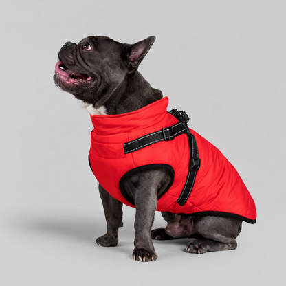 Manteau imperméable pour chien – Protection contre la pluie et le vent
