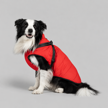 Manteau imperméable pour chien – Protection contre la pluie et le vent