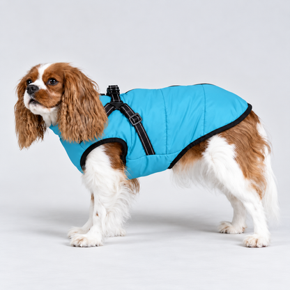 Manteau imperméable pour chien – Protection contre la pluie et le vent
