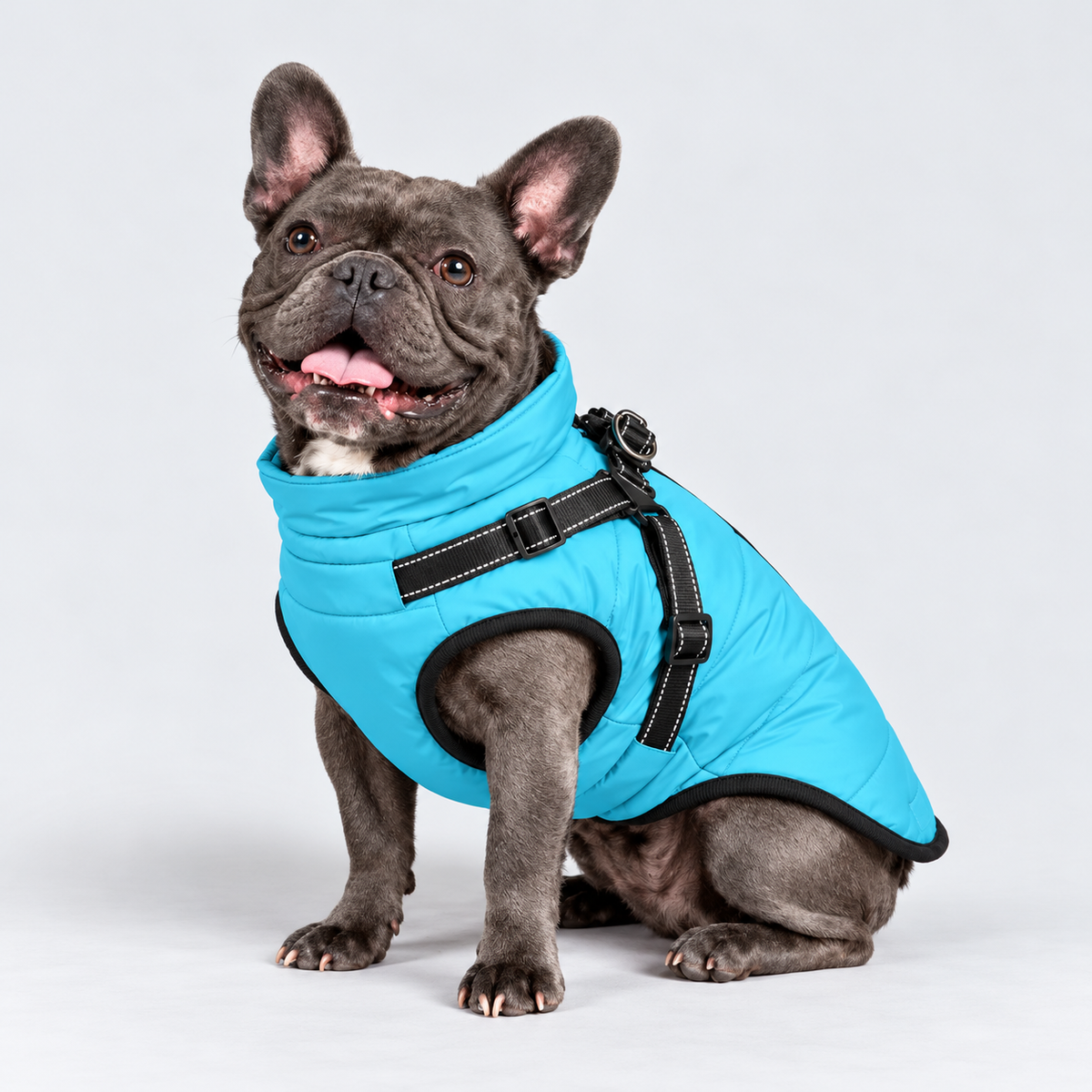 Manteau imperméable pour chien – Protection contre la pluie et le vent