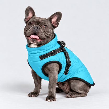 Manteau imperméable pour chien – Protection contre la pluie et le vent