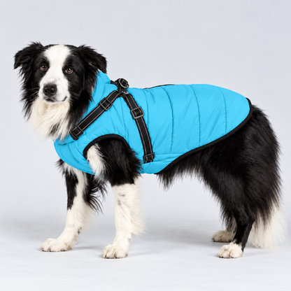 Manteau imperméable pour chien – Protection contre la pluie et le vent