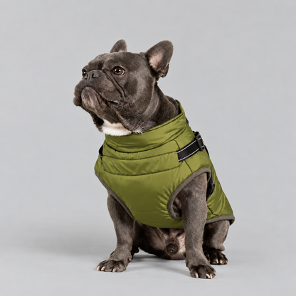 Manteau imperméable pour chien – Protection contre la pluie et le vent