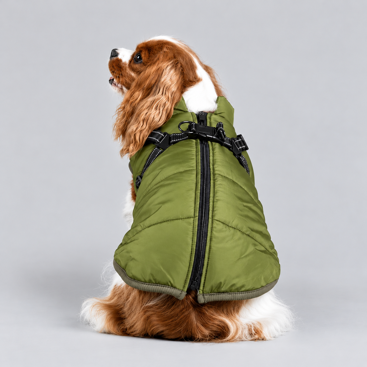 Manteau imperméable pour chien – Protection contre la pluie et le vent