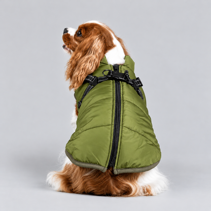 Manteau imperméable pour chien – Protection contre la pluie et le vent