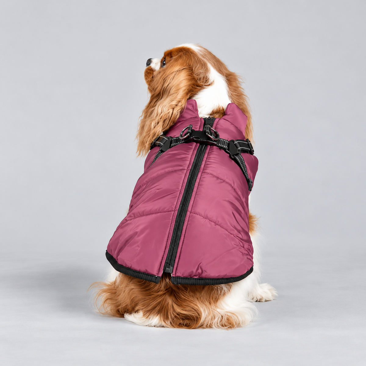 Manteau imperméable pour chien – Protection contre la pluie et le vent