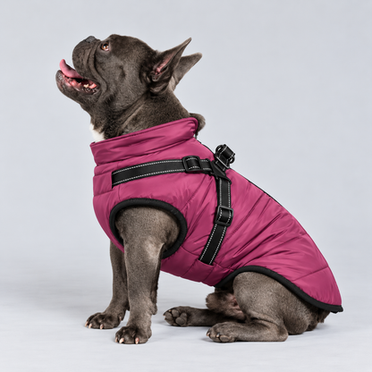 Manteau imperméable pour chien – Protection contre la pluie et le vent