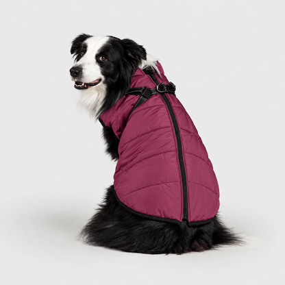 Manteau imperméable pour chien – Protection contre la pluie et le vent